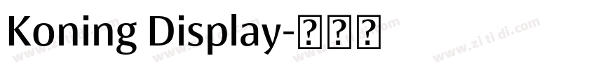 Koning Display字体转换